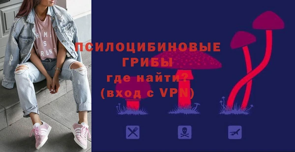 соль ск Коряжма