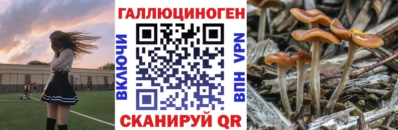 Галлюциногенные грибы Magic Shrooms  купить наркотик  нарко площадка Telegram  Муравленко 