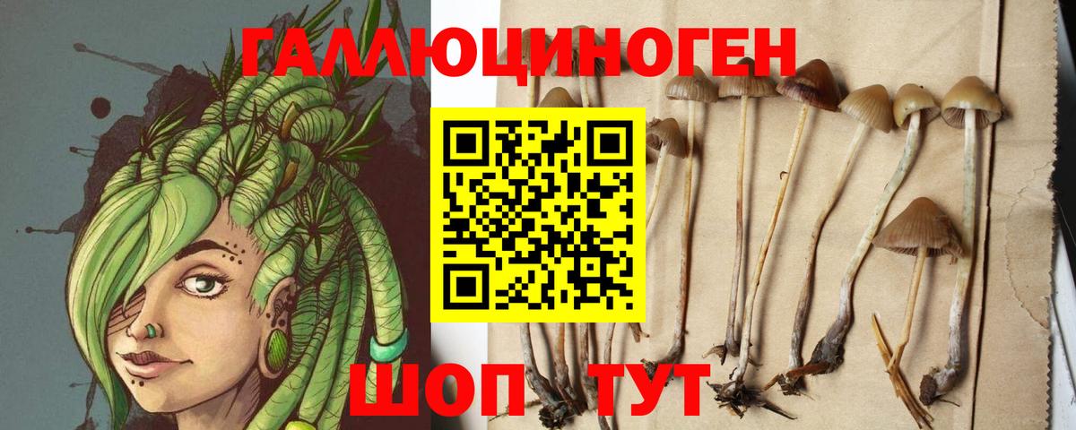 Муравленко  Галлюциногенные грибы MAGIC MUSHROOMS  Вход с VPN  Галлюциногенные грибы MAGIC MUSHROOMS 